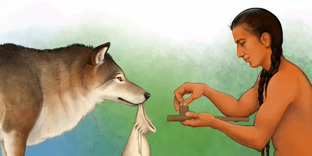 Aki Animation 5